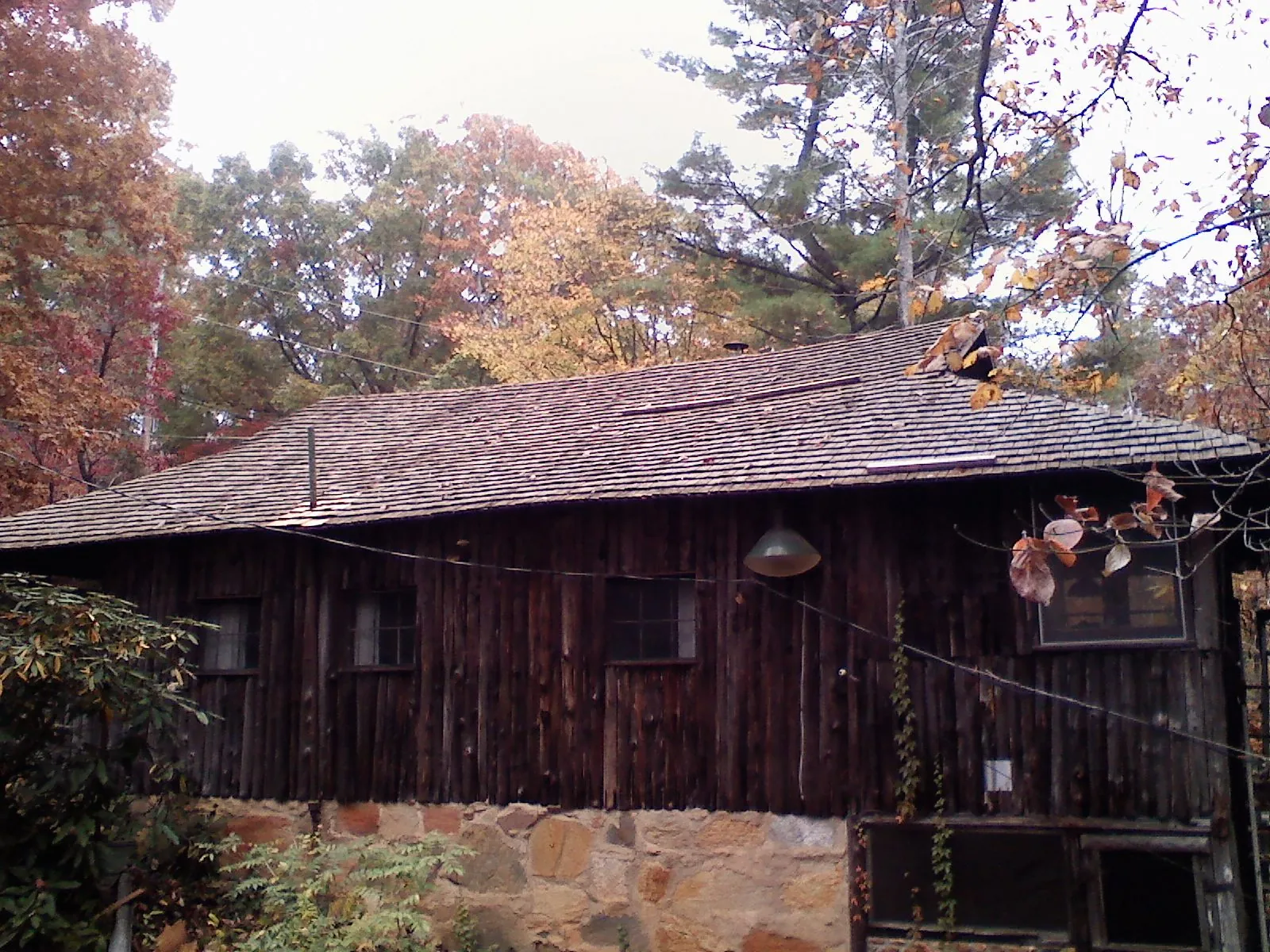 Weathered wood shake roof on a rustic board sided cabin in Cedarville